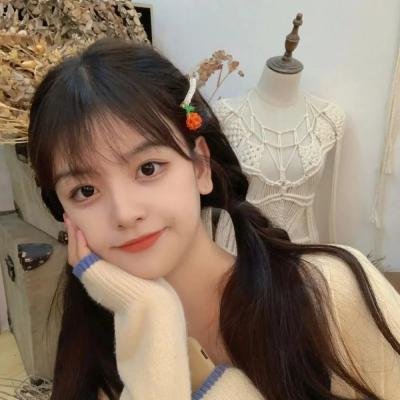 囧妈的极地任务